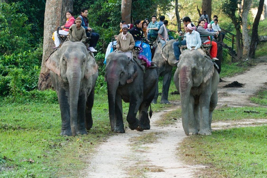 tala-elephant-safari-img